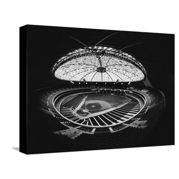 Art.com Fish Eye View of the Astrodome, Houston, Texas, 1965 Stretched Canvas Print Wall Art, 16" x 12"