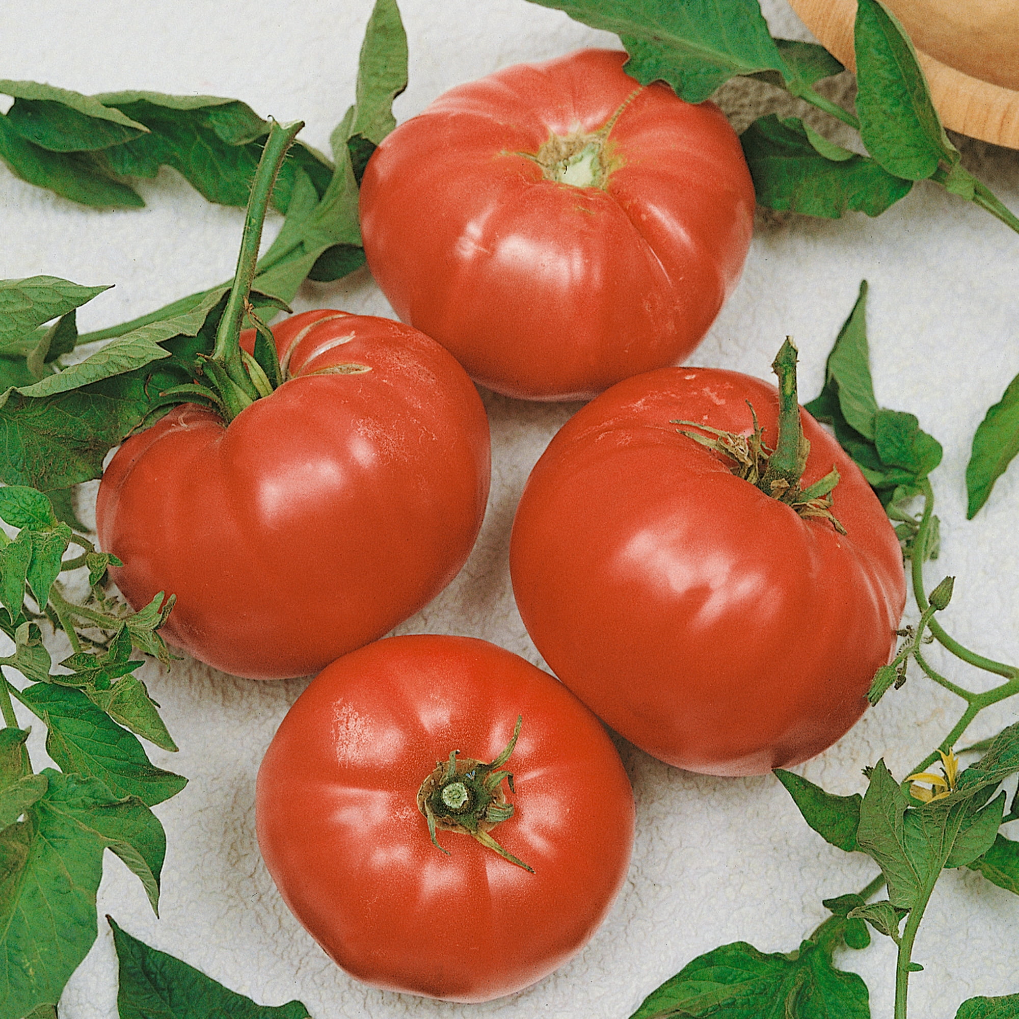 Watermelon Beefsteak Tomato Seeds 4 Oz 27200 Seeds NonGMO