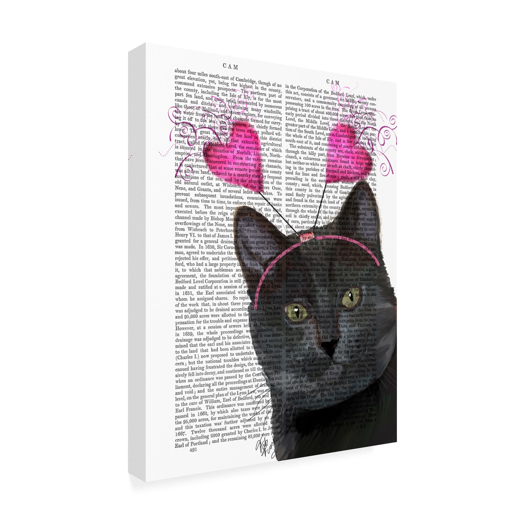 Trademark Fine Art 'Black Cat, Valentines' Canvas Art by Fab Funky