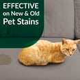 thumbnail image 3 of Simple Green Cat Pet Stain and Odor Remover, Citrus Scent, 32 oz Sprayer & 1 gallon Refill, 3 of 9