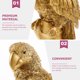thumbnail image 4 of unbranded Loro Decorativo En Resina Para Embellecer Espacios Con Estilo Y Durabilidad Prolongada, 4 of 5