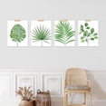 thumbnail image 3 of PixonSign Frameless Wall Art Tropical Green Monstera Fan Leaf Poater, Set of 4 Nature Wilderness Wall Decor Prints, Botanical Floral Wall Décor, Rustic Classic Countryside Artwork - 12"x16", 3 of 5