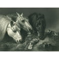 thumbnail image 2 of Herring, John Frederick 14x12 White Modern Wood Framed Museum Art Print Titled - Le Maigre Repas - Steel Engraving, 2 of 4