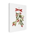 thumbnail image 2 of Emma Caroline 'Mistletoe Bow I' Canvas Art, 2 of 3