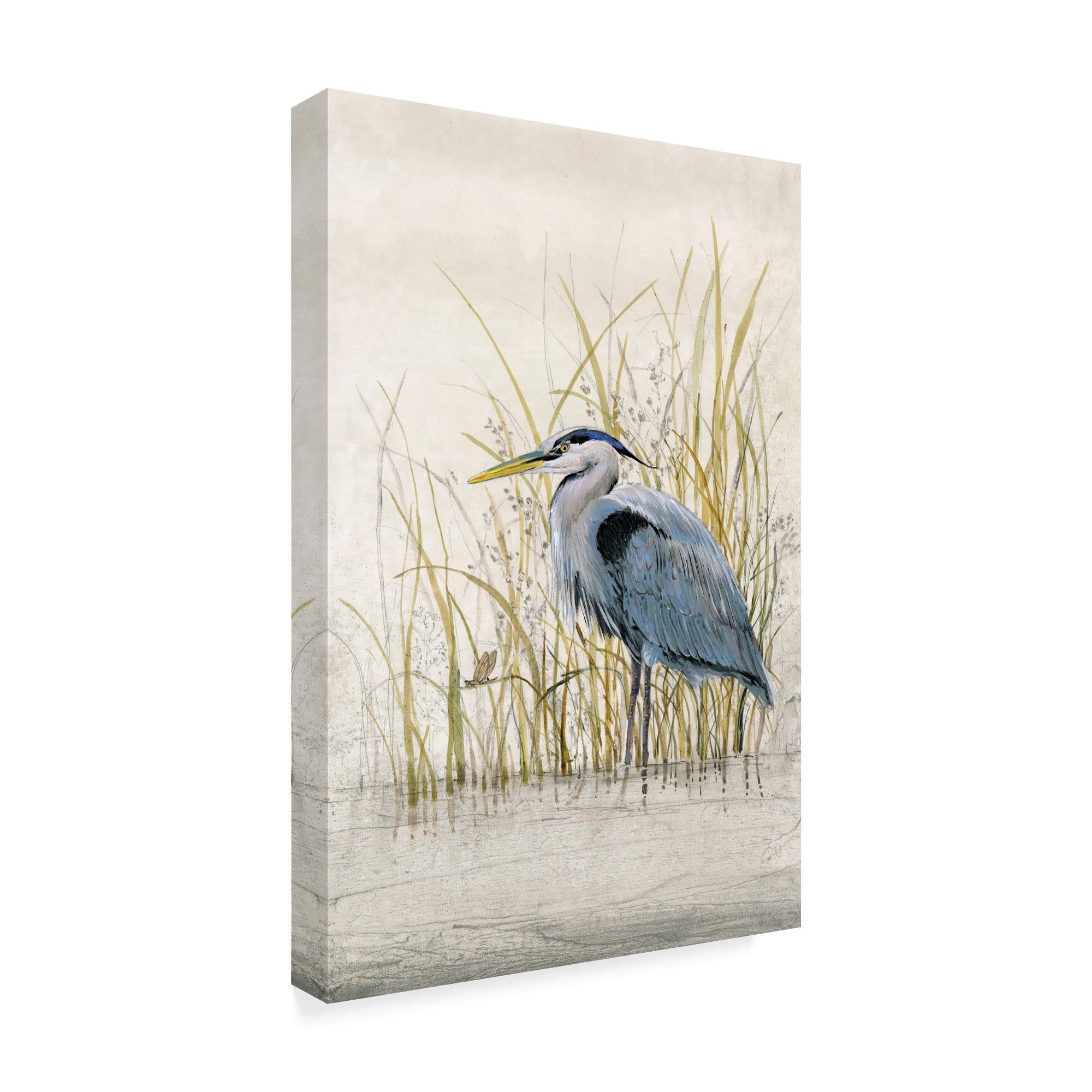 Trademark Fine Art 'Heron Sanctuary II' Canvas Art by Tim OToole