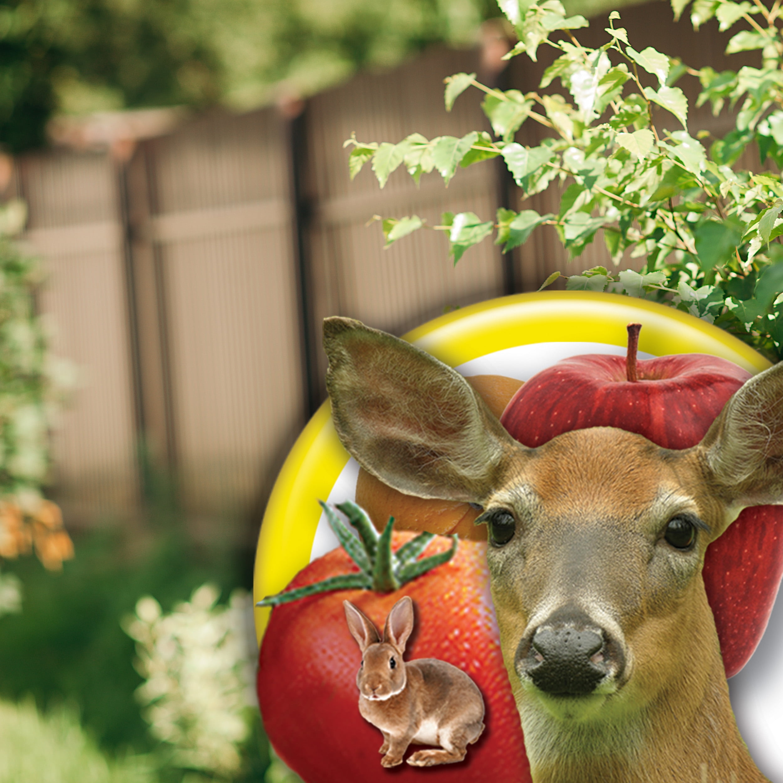 Bonide Go Away! Deer & Rabbit Repellent, 32 oz. Ready-to-Use Spray Deterrent