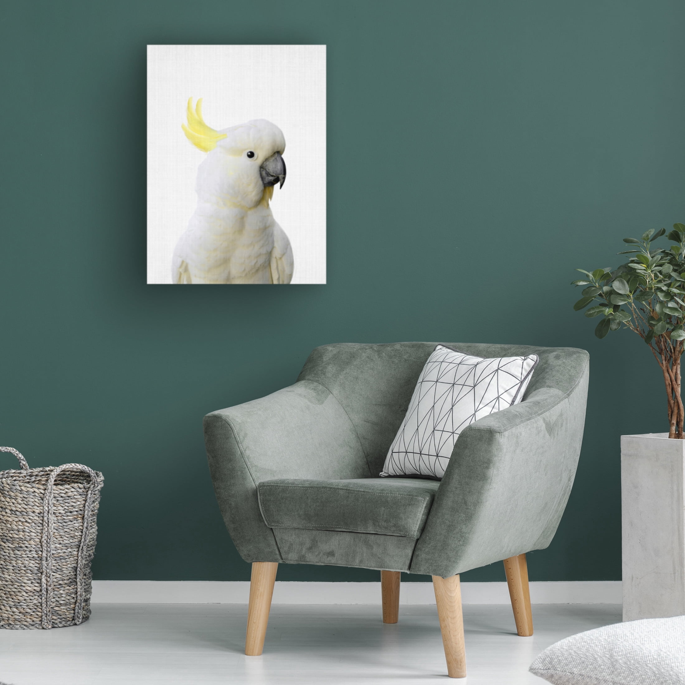 Trademark Fine Art Lola Peacock  Peekaboo Cockatoo Canvas Wall Art