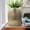 Gold, variant on Metal Arch Vase for Living Room Decor - Decorative Flower Vase for Home Accents, Bedroom, or Office Display - Ideal for House Entryway and Table Centerpiece Decoration - 11", Silver & Metallic