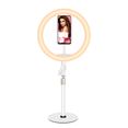 thumbnail image 1 of YIXIGGC 10 Inch Desktop Telescopic Live Fill Light Led Ring Light WJ87-129, 1 of 6