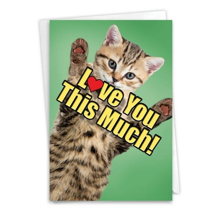 1 Father's Day Card with Envelope - Cat Love You This Much C6610HFDG