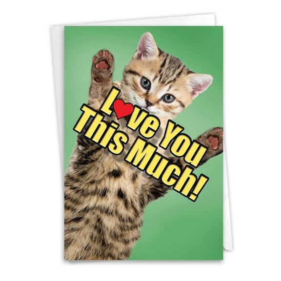 1 Father's Day Card with Envelope - Cat Love You This Much C6610HFDG