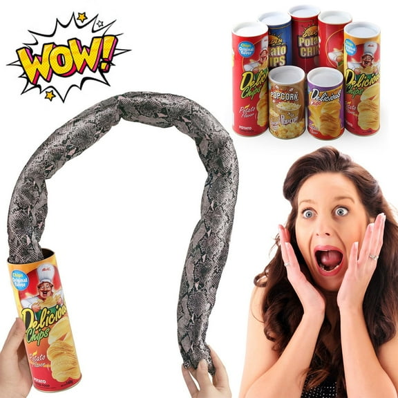 Prank Gifts for Kids, Funny Classic Snake in a Can Prank for Kids Magic Potato Chip Cans Fries Toys April Fools' Day and Halloween Party Decoration(A)