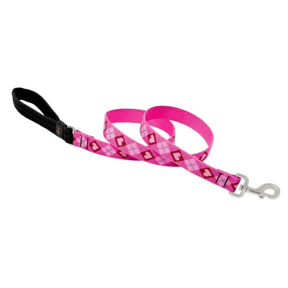 LupinePet Originals 1" Puppy Love 4-Foot Padded Handle Leash for Medium and Larger Dogs