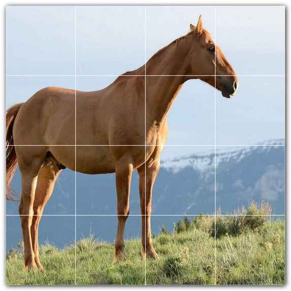 Picture-Tiles.com: Horse Ceramic Tile Wall Mural WAL500757-44XL. 48"W x 48"H using (16) 12" x 12" Ceramic Tiles-Satin Finish