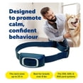 thumbnail image 3 of Collar de entrenamiento remoto PetSafe Add-A-Dog resistente al agua, 3 of 8