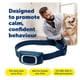 thumbnail image 3 of Collar de entrenamiento remoto PetSafe Add-A-Dog resistente al agua, 3 of 8