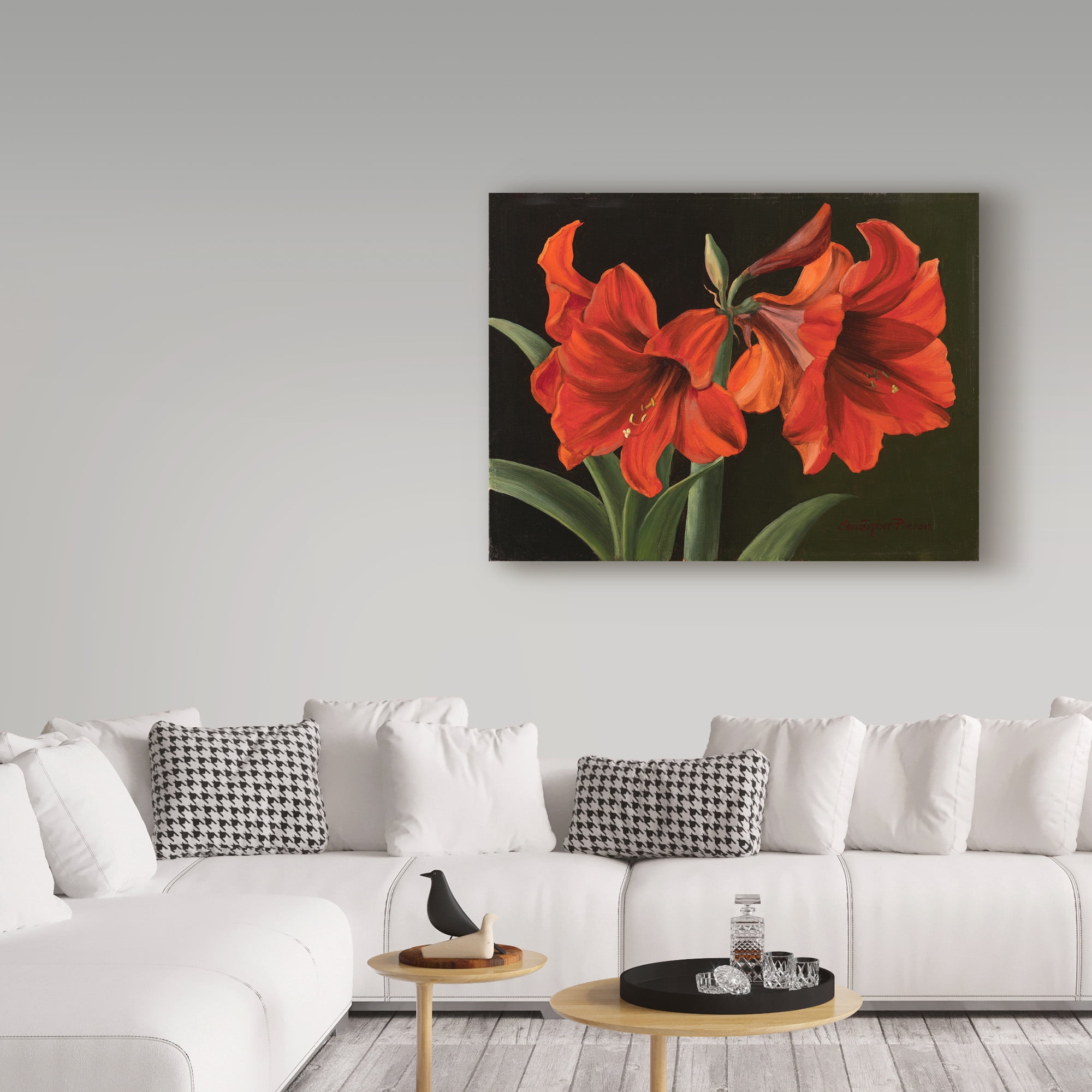 Trademark Fine Art 'Amaryllis Red Flowers' Canvas Art by Christopher Pierce