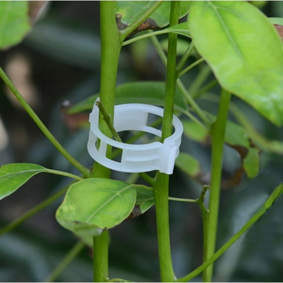 Plant Support Clips, Plant Clips for Climbing Plants Clear Plastic Reusable Garden Tomato Clips Trellis Clips Vine Vegetables Plant Fixing Clips