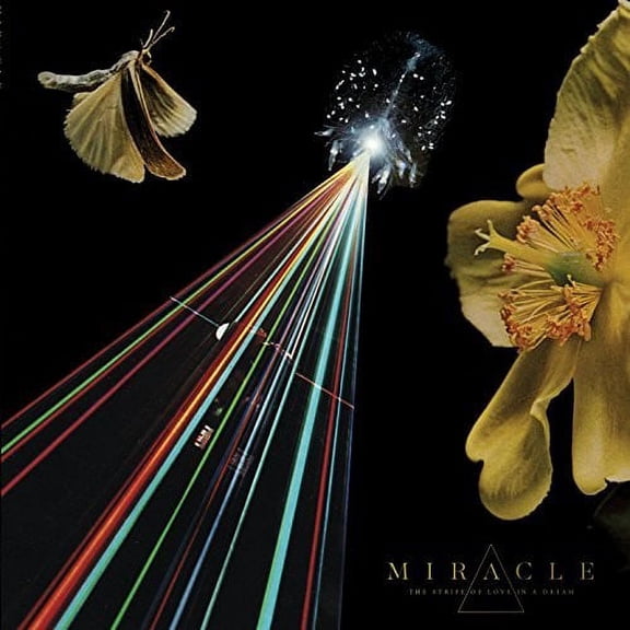 Miracle - The Strife Of Love In A Dream - Music & Performance - CD