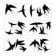 thumbnail image 1 of Pegatinas de golondrina, pegatinas de vidrio, 6 hojas, 20 piezas, previenen golpes de pájaros, pegatinas de ventana de PVC, pegatinas para ventana, 1 of 7
