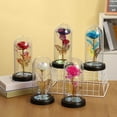 thumbnail image 5 of Valentines Day Rose Glass Flowers Gifts for Her, Galaxy Light Up Rose in A Glass Dome, Valentines Day Gifts for Mom Wife, Valentine Birthday Gifts for Women,Purple Butterfly Home Decor, 5 of 7
