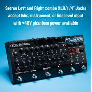 95000 Performance Loop Laboratory Effects Looper Pedal