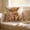 Multicolor1359, variant on Tuvgenk 18x18 In Throw Pillow Covers Spandex Indoors Pillowcases Decor Multicolor Highland Cow for Couch