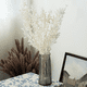 thumbnail image 2 of 16X Flores de Ruscus Secas para Siempre de 45cm Decoración Floral DIY Ramo de Flores Secas para Decoración del Hogar de Boda, 2 of 5
