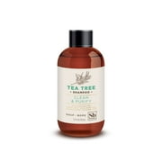 Soapbox Shampoo Tea Tree 3.3 oz Luxe - Trial & Travel 1 ct