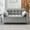 Gray, variant on 3 in 1 Sleeper Sofa Couch Bed,Velvet Convertible Futon Sofa Bed with Pull Out Bed and Adjustable Backrest,Lounge Chaise Armchair Sofa for Living Room Bedroom Apartment,Gray