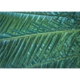 thumbnail image 1 of Ahgly Company Machine Washable Indoor Rectangle Transitional Mint Green Area Rugs, 2' x 4', 1 of 7