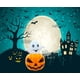 thumbnail image 5 of 4 bolas de estrés con cabeza de calabaza de descompresión, juguetes para aliviar el estrés para niños y adultos, juguetes sensoriales para Halloween, oficina, cumpleaños (negro), 5 of 5