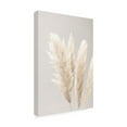 thumbnail image 4 of 1x Studio III 'Pampas Grass Grey 02' Canvas Art, 4 of 4