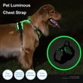 thumbnail image 1 of CBFFDC Pet Chest Strap Rechargeable LED Lighted Dog Harness Luminous Pet Harness Adjustable Glowing Pet Chest Strap for Night Walking, 1 of 6