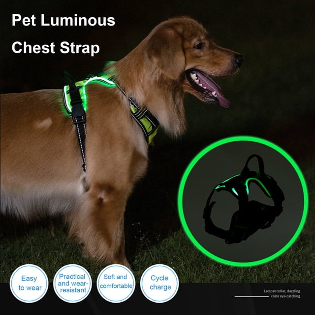 CBFFDC Pet Chest Strap Rechargeable LED Lighted Dog Harness Luminous Pet Harness Adjustable Glowing Pet Chest Strap for Night Walking
