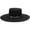 Black, variant on Charlie 1 Horse Women's High Desert Wool Felt Western Hat (Black, Medium)
