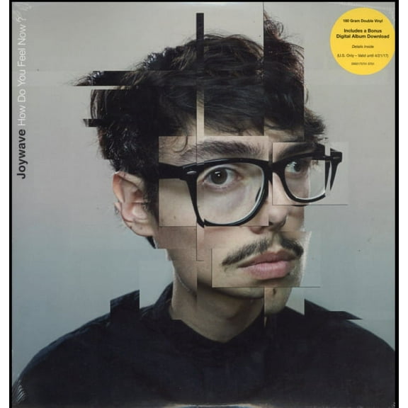Joywave - How Do You Feel Now - Vinyl