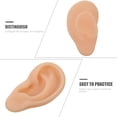 thumbnail image 3 of Miangastore Realistic Ear Simulator Silicone Teaching Aid for Doctors 1Pcs, 3 of 9
