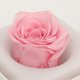 thumbnail image 2 of Rose Night Light Romantic Small USB Charging Soft Brightness Decoration Detachable Transparent Cover Rose Table Lamp for Home Pink, 2 of 4