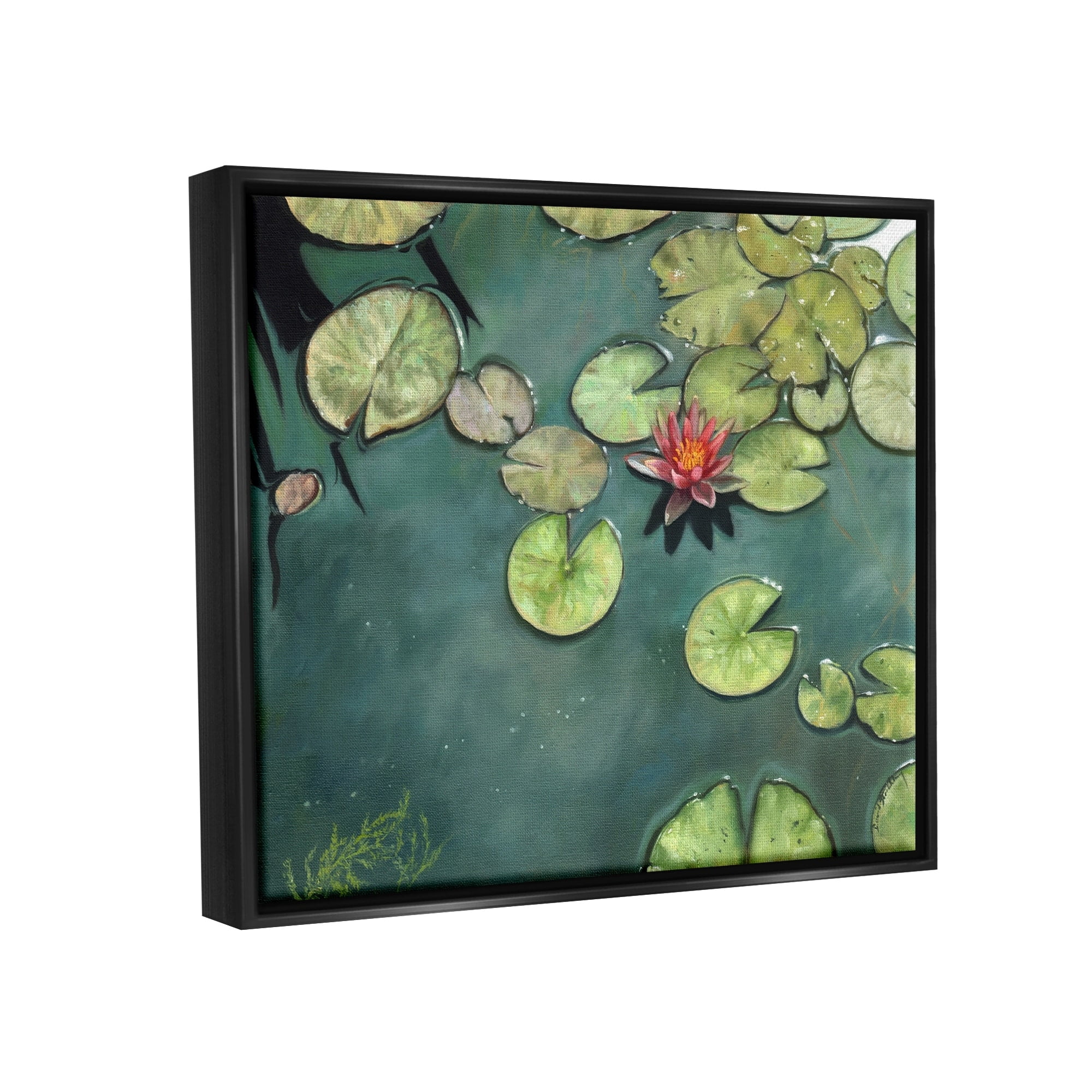 Stupell Industries Pond Lily Lotus Blossom Floating Peaceful Botanicals Painting Jet Black Floating Framed Canvas Print Wall Art, Design by David Stribbling