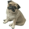 Sandicast Pug