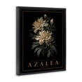 thumbnail image 2 of Stupell Industries French Country Antique Azalea Bushel Black Floating Frame Canvas Art, 25 x 31, by Christopher Giampietro, 2 of 8
