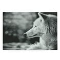 thumbnail image 1 of Wolf Cutting Board, Animal Profile Portrait in the Nature Wildlife Carnivore Greyscale Canine Photography, Decorative Tempered Glass Cutting and Serving Board, Large Size, Pale Grey, by Ambesonne, 1 of 1