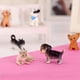thumbnail image 5 of 6 unids Simulación Mini Gato Modelo de Perro Figuras Animales Miniatura Muñeca Juguetes Para Mascotas Adornos Lindos, 5 of 7