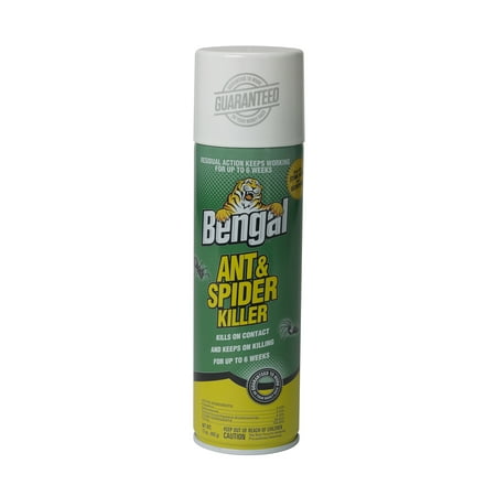 Bengal Ant & Spider Killer, 17 oz