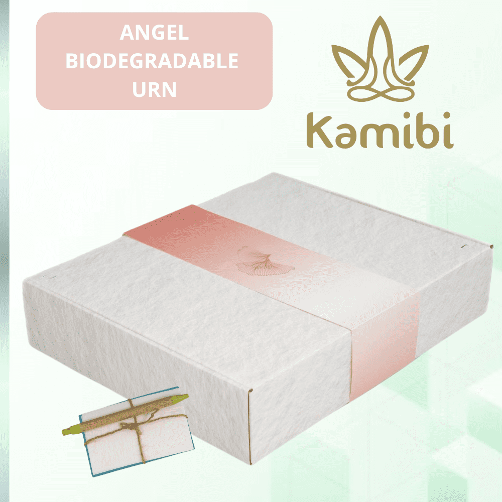 Biodegradable Urn for Human Ashes, Eco-Friendly Urn for Water or Earth Burial, Includes Water Soluble Ash Bag, Adult Size 3" H x 12" W x 14" L. (ANGEL GINKGO)