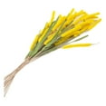 thumbnail image 4 of HeSLehs Group of 12 Colorful Yellow Artificial Cattails for Arranging, Crafting and Embellishing, 4 of 4