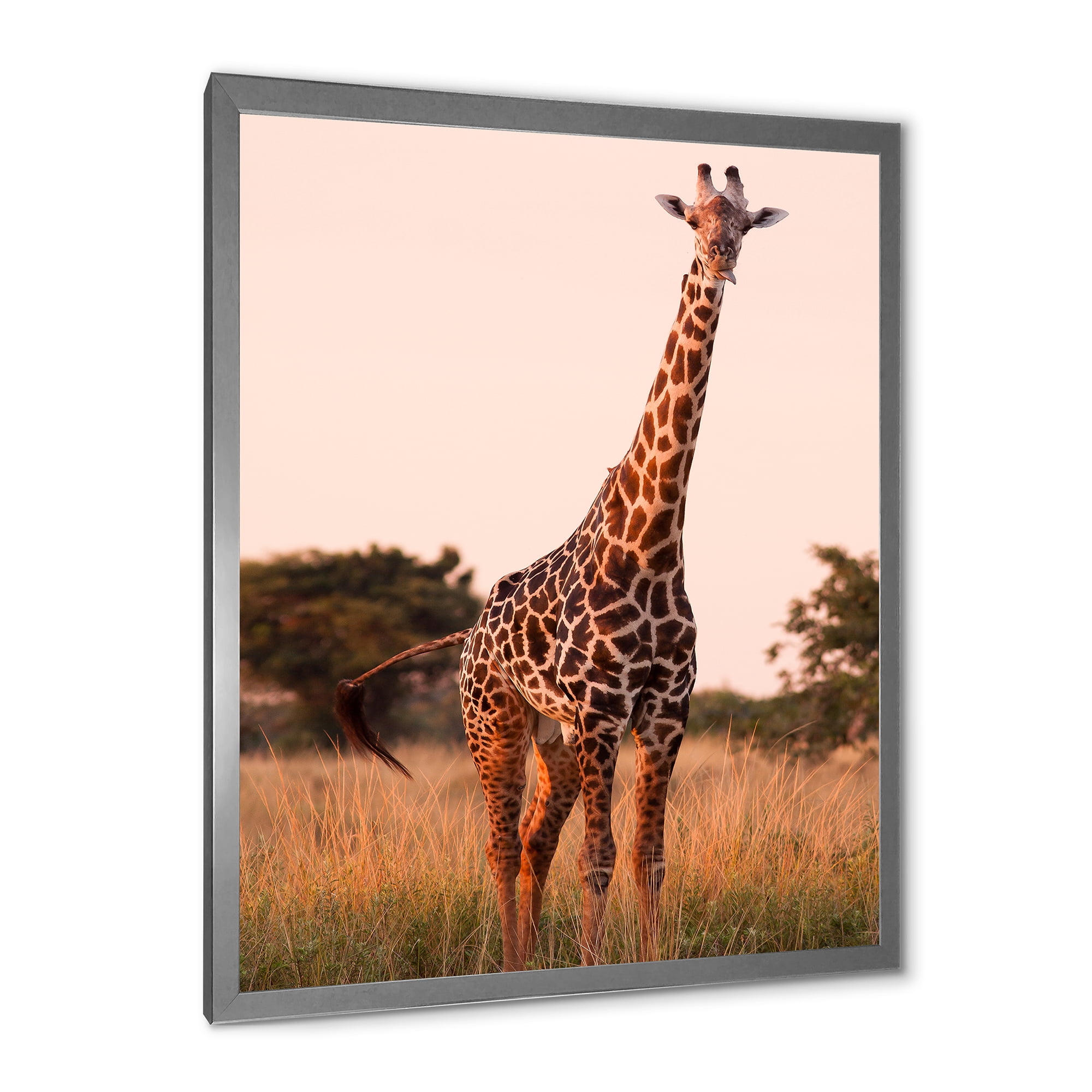 Designart 'African Giraffe In The Wildlife I' Farmhouse Framed Art Print