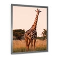 thumbnail image 2 of Designart 'African Giraffe In The Wildlife I' Farmhouse Framed Art Print, 2 of 4
