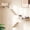Sisal-Wood-1 Curved Bed 1 Shelf 2 Ladders, variant on Curved Cat Wall Hammock With Scratchable Sisal Pad  Large Floating Shelf For Mounted Beige Bed Playing Climbing And Sleeping